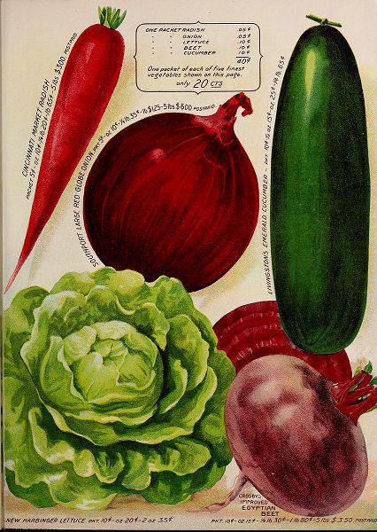 Vintage Apple Collection 아티스트의 Annual Of True Blue Veggies작품입니다.