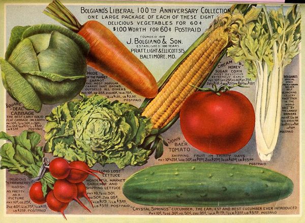 Vintage Apple Collection 아티스트의 Bolgianos Veggies작품입니다.