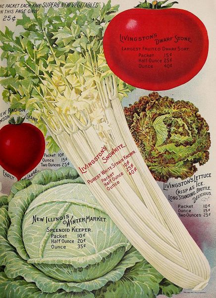 Vintage Apple Collection 아티스트의 Celery작품입니다.