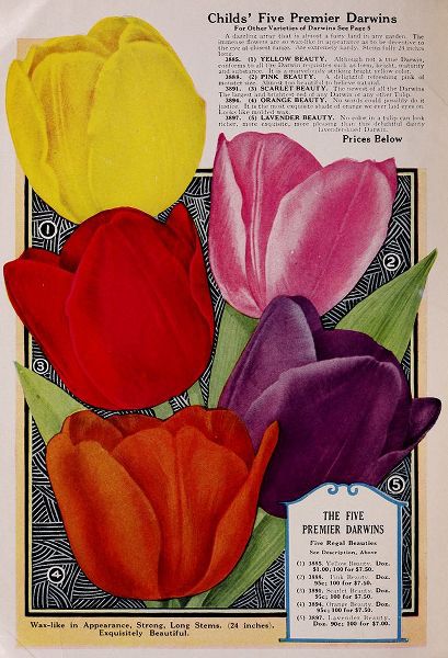 Vintage Apple Collection 아티스트의 Childs Tulips작품입니다.