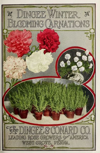 Vintage Apple Collection 아티스트의 Winter Carnations작품입니다.