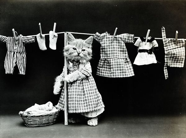 Vintage Apple Collection 아티스트의 Kitty Laundry작품입니다.
