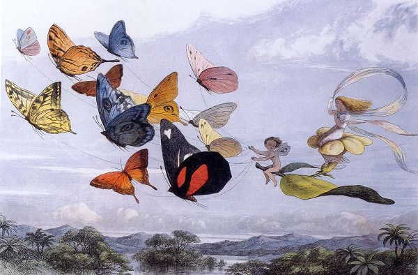 Vintage Apple Collection 아티스트의 Fairy Butterflies 1작품입니다.
