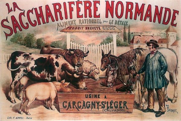 Vintage Apple Collection 아티스트의 Cows Normandie작품입니다.