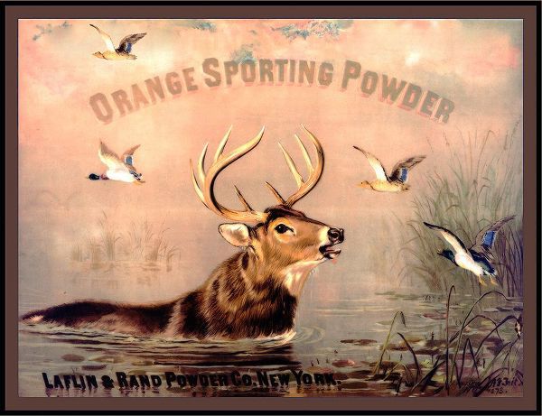 Vintage Apple Collection 아티스트의 Orange Sporting작품입니다.