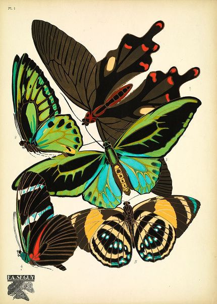 Vintage Apple Collection 아티스트의 Papillons_1작품입니다.