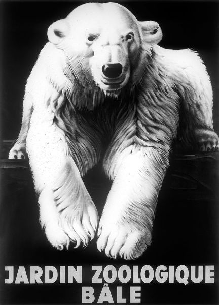 Vintage Apple Collection 아티스트의 Bale Polar Bear작품입니다.