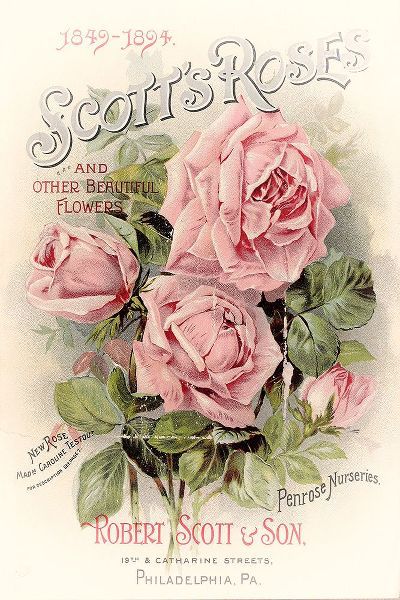 Vintage Apple Collection 아티스트의 Scotts Roses작품입니다.