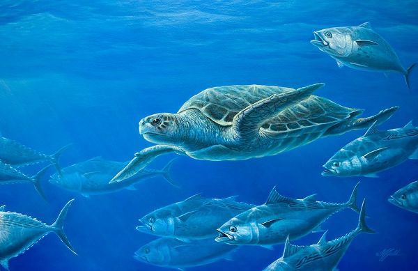 Goebel, Wilhelm 아티스트의 Sea Turtle작품입니다.