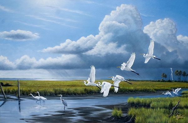 Goebel, Wilhelm 아티스트의 Summer Storm Egrets작품입니다.