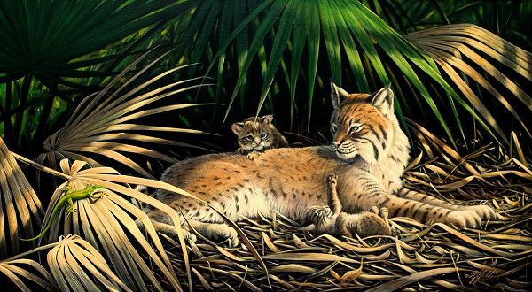Goebel, Wilhelm 아티스트의 Sunny Spot Bobcat with Kittens작품입니다.