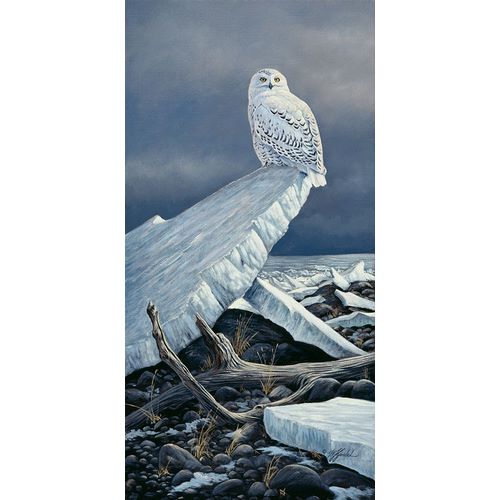 Goebel, Wilhelm 아티스트의 Lakeshore Ice작품입니다.