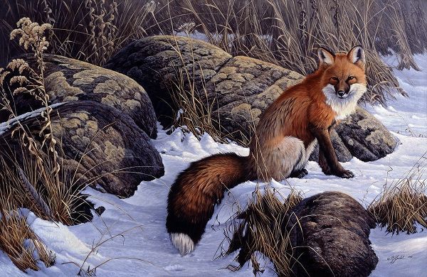Goebel, Wilhelm 아티스트의 Mid Winter Pause - Red Fox작품입니다.