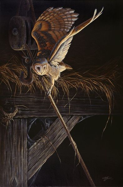 Goebel, Wilhelm 아티스트의 Tight Rope Barn Owl작품입니다.