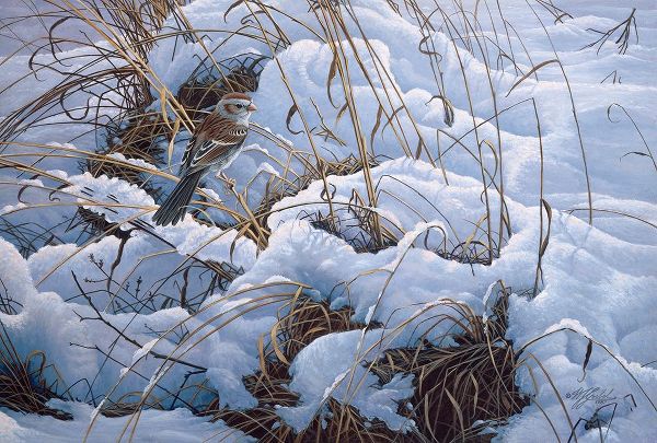 Goebel, Wilhelm 아티스트의 Snow Glow Field Sparrows작품입니다.