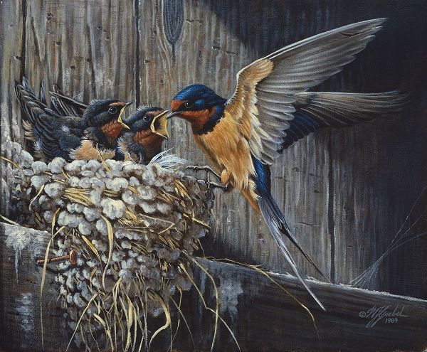 Goebel, Wilhelm 아티스트의 Country Living  - Barn Swallows작품입니다.