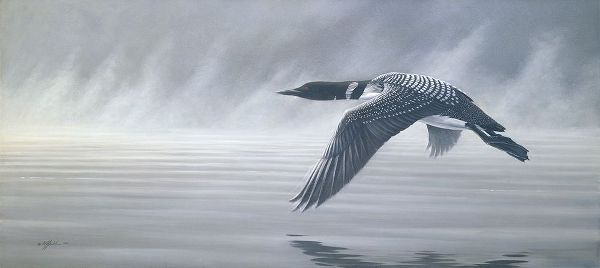 Goebel, Wilhelm 아티스트의 Misty Flight작품입니다.