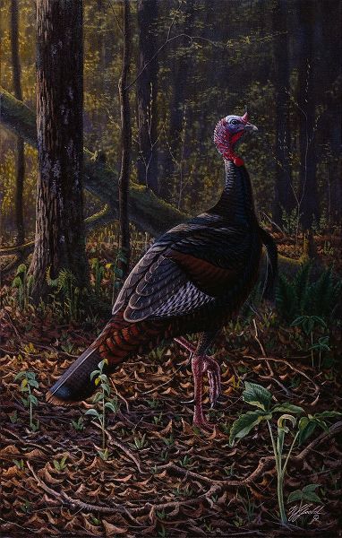 Goebel, Wilhelm 아티스트의 Ever Alert - Wild Turkey작품입니다.