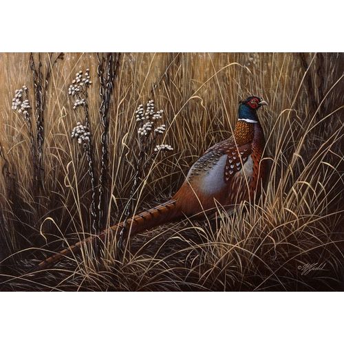 Goebel, Wilhelm 아티스트의 Pheasant In The Grass 2작품입니다.