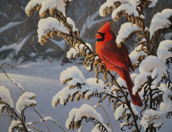 Goebel, Wilhelm 아티스트의 Winter Cardinal작품입니다.