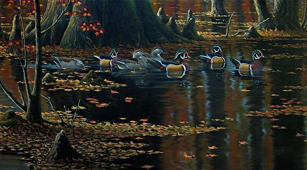 Goebel, Wilhelm 아티스트의 Cypress Jewels - Wood Ducks작품입니다.