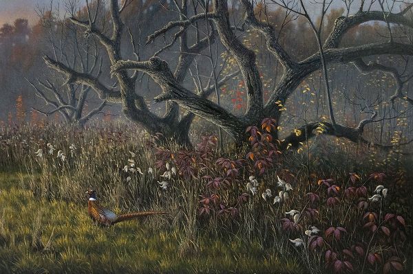 Goebel, Wilhelm 아티스트의 Old Orchard and Pheasant작품입니다.