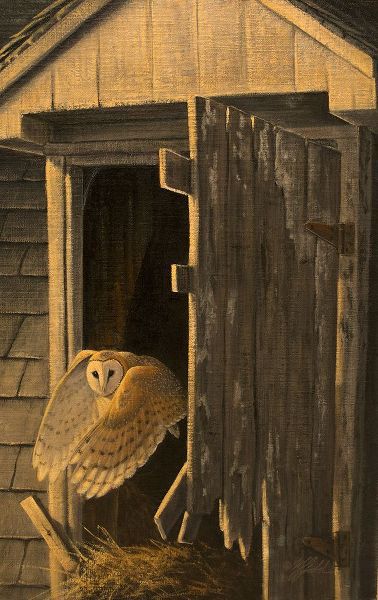 Goebel, Wilhelm 아티스트의 Out of the Darkness - Barn Owl작품입니다.