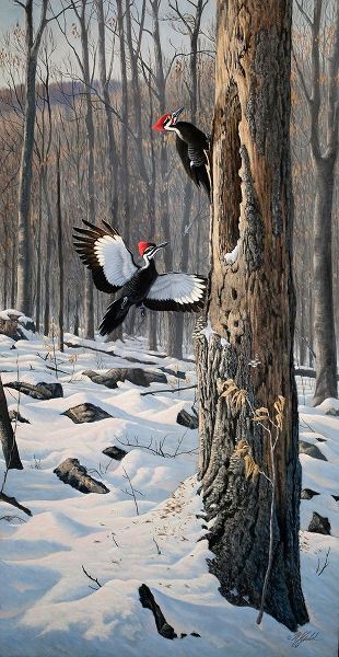 Goebel, Wilhelm 아티스트의 Swooping In - Pileated Woodpeckers작품입니다.