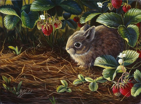 Goebel, Wilhelm 아티스트의 Young Cottontail And Strawberries작품입니다.