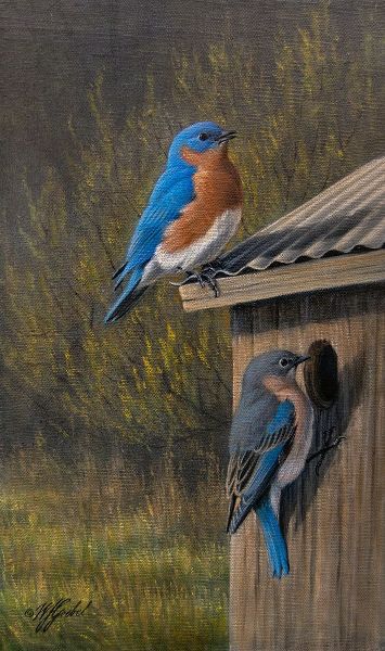 Goebel, Wilhelm 아티스트의 Bluebirds at Home작품입니다.