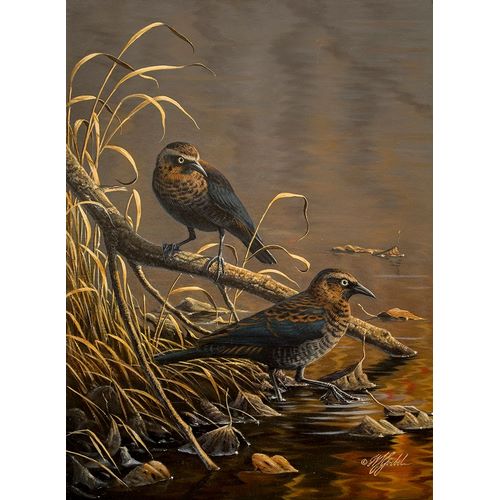 Goebel, Wilhelm 아티스트의 Rusty Blackbirds작품입니다.