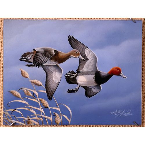 Goebel, Wilhelm 아티스트의 1986 Redhead Ducks작품입니다.