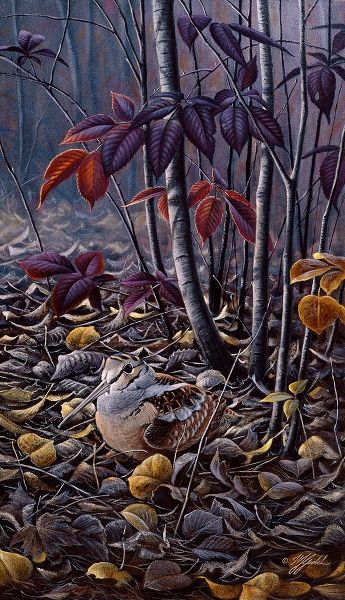 Goebel, Wilhelm 아티스트의 Autumn Colors- Woodcock작품입니다.