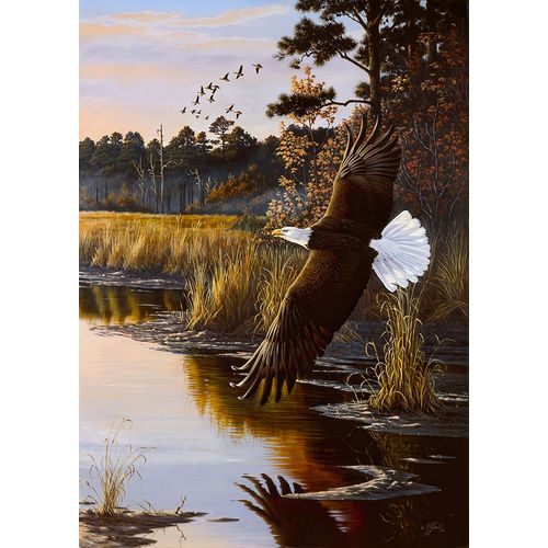 Goebel, Wilhelm 아티스트의 Wings Of Autumn - Bald Eagle작품입니다.
