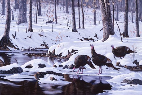 Goebel, Wilhelm 아티스트의 Hardwood Creek - Wild Turkeys작품입니다.