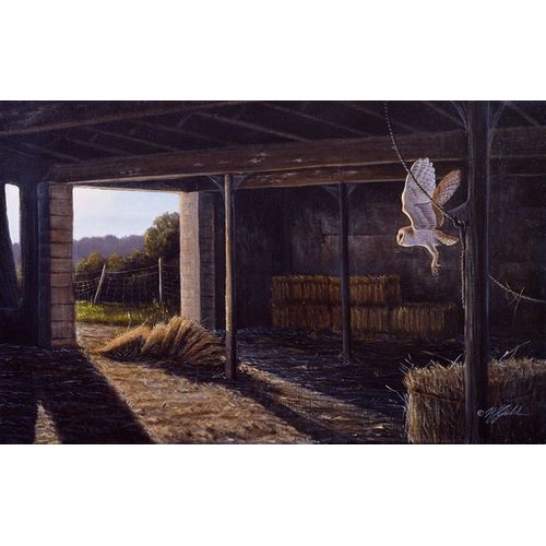 Goebel, Wilhelm 아티스트의 On Silent Wings - Barn Owl작품입니다.