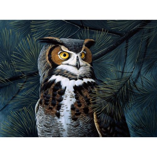 Goebel, Wilhelm 아티스트의 Portrait In The Pines - Great Horned Owl작품입니다.