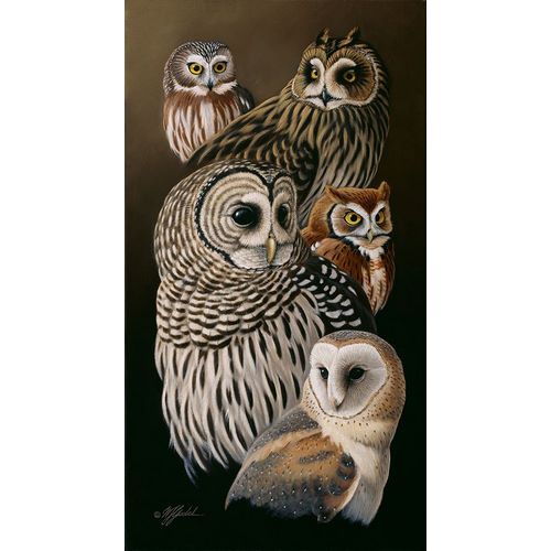 Goebel, Wilhelm 아티스트의 Eyes Of The Night - Owls작품입니다.