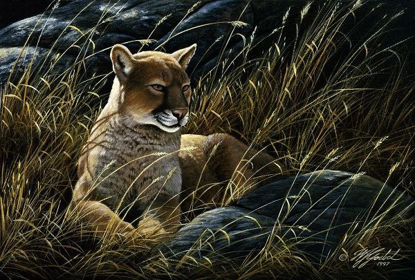 Goebel, Wilhelm 아티스트의 Cougar In The Grass작품입니다.