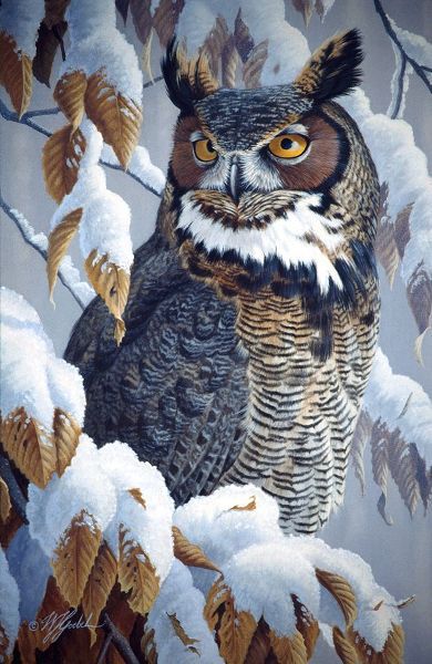 Goebel, Wilhelm 아티스트의 Winter Watch - Great Horned Owl작품입니다.