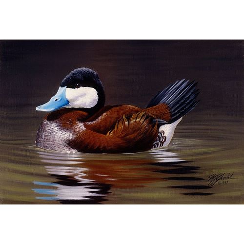 Goebel, Wilhelm 아티스트의 Ruddy Duck작품입니다.