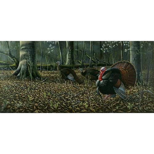Goebel, Wilhelm 아티스트의 The Suitor - Wild Turkeys작품입니다.