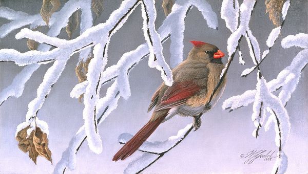 Goebel, Wilhelm 아티스트의 Winter Lady - Cardinal작품입니다.