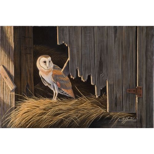 Goebel, Wilhelm 아티스트의 Ready For The Hunt Barn Owl작품입니다.