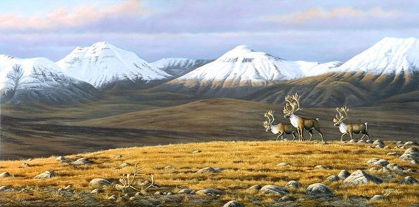 Goebel, Wilhelm 아티스트의 Time Passages Mountain Caribou작품입니다.
