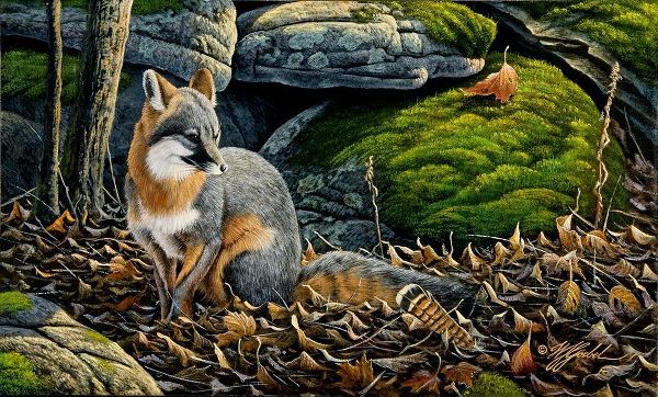 Goebel, Wilhelm 아티스트의 Grey Fox작품입니다.