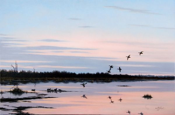 Goebel, Wilhelm 아티스트의 Sunset March Black Ducks작품입니다.