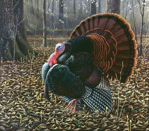 Goebel, Wilhelm 아티스트의 The King Of Spring - Wild Turkey작품입니다.