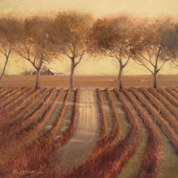 Vintage Sunlit Vineyard