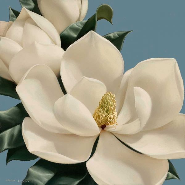 Dolce Magnolia